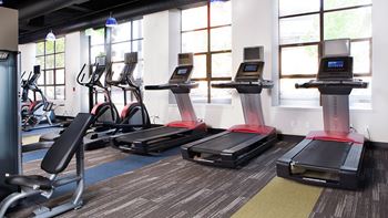 A gym with treadmills, elliptical machines, and stationary bikes at Skye at Belltown Apartments, Seattle, 98121